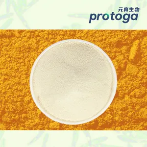 Protoga usine fournisseur Haute teneur Algues Euglena gracilis extrait bêta glucane Paramylon Poudre