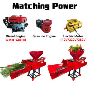 Máquina Picadora de Forraje para Animales, Cortadora de Pasto para Granja, Picadora de Ensilaje, Trituradora de Frutas, Verduras, Zanahorias y Repollo - Product Image 4