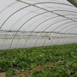 Fabriek Directe Levering Frp Massieve Tentpaal Glasvezel Staaf Landbouwboog Schuur Groente Schuur Beugel Lassen Glasvezel - Product Image 3