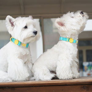 <span class=keywords><strong>Collar</strong></span> impermeable para perro mascota de tamaño pequeño, material de silicona, nuevo estilo, proveedor de mascotas - Product Image 6