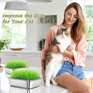 Vassoio per Semina Idroponica in Acciaio Inox 304 Rettangolare per Erba Gatto, Scatola per Vivaio e <span class=keywords><strong>Balcone</strong></span> - Product Image 4