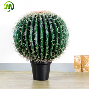Top Vente <span class=keywords><strong>Cactus</strong></span> Artificiel Balled En Pot Haute Simulation Succulentes Bonsaï <span class=keywords><strong>Prix</strong></span> Usine Faux <span class=keywords><strong>Cactus</strong></span> Plante pour La Décoration - Product Image 6