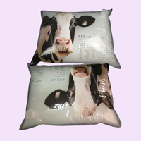 L'usine fournit des sacs BIB transparents pour l'emballage d'huile de cuisson/lait et liquide d'œuf, de 1 litre à 25 litres 5L 10L20L