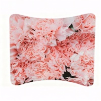 Toile de fond portable en tissu tendu de conception personnalisée, 8 pieds, 10 pieds, droite, pour salon professionnel, photomaton