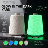 Fil Lumineux pour Tricot, Crochet, Chapeaux, Sacs, Jouets et Projets DIY, Fil qui Brille dans le Noir, Service OEM ODM