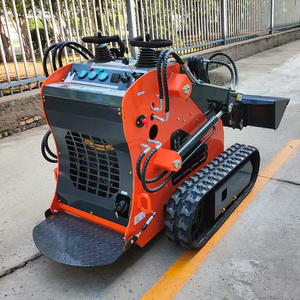 Miễn phí vận chuyển DIESEL Vườn Nhà Crawler 360 460 quốc tế nhỏ nhỏ Skid chỉ đạo Bộ nạp - Product Image 6