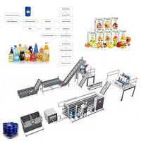 ISO 9001/CE Turnkey Project Multifunctionele Volledig Automatische Fruit Sapverwerkingslijn Van Geconcentreerd Sap