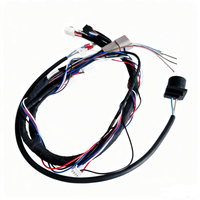Câble de connexion pour véhicule électrique, faisceau de câblage pour moto, assemblage de câbles, faisceau de câblage électronique pour automobile