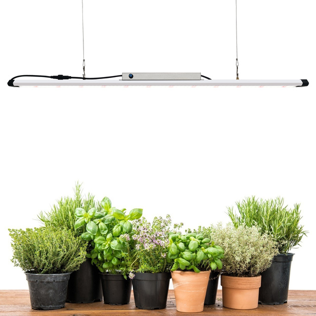 Liweida LM301B LM301H Full Spectrum LED Grow Light 1.2m 4ft Commercial Dimmable Veg Flower Bloom Lamp for Medical Plants IP65