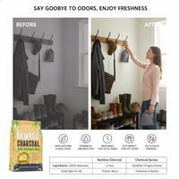 FYD 200g Purificateur d'air solide écologique au charbon de bambou pour usage domestique