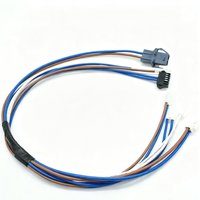 Harness Kabel PVC Multi-cabang Kustom dengan Konektor Plastik Campuran & Sinyal Multi-warna untuk Sistem Kontrol Rumah Tangga