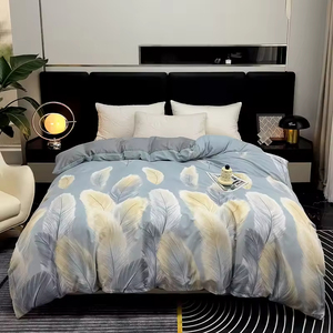 Parure de lit 100 % coton brossé épais, style luxe, housse de couette, drap plat, 3 ou 4 pièces, linge de lit chaud pour l'automne et l'hiver - Product Image 1