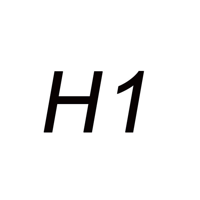 H1