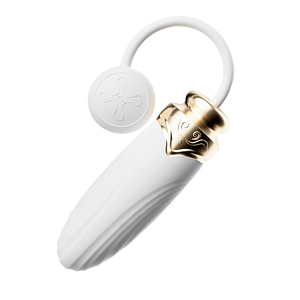 Vibrador de Bala para Punto G y Clítoris, Resistente al Agua, con Control Remoto Inalámbrico, 10 Frecuencias, Recargable por USB, para Mujeres, en Oferta - Product Image 4