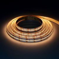 Bande LED RGB double rangée SMART 120D 24V 12V 5050 Blanc réglable Cuivre IP55 Étanche Coupable Dimmable 2700K-6500K USB