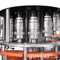 Machine de remplissage de boisson pétillante de boisson d'énergie de l'eau de sport