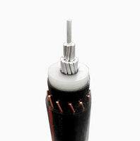 Câble de distribution souterrain monobrin en aluminium YJLY 12/20kV 1*240mm² à âme neutre concentrique, isolé TR XLPE