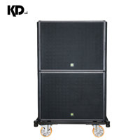 Subwoofer professionnel à réflexion de basses de 18 pouces à haute puissance, en néodyme, pour audio basse fréquence, 700 W RMS, en contreplaqué de bouleau