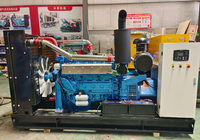 Groupe électrogène diesel WF 380V triphasé 200 KW/250KW, tout cuivre, sans balais, pour alimentation de secours, 50Hz/60HZ, modèle ATS, type silencieux, 1800 tr/min
