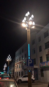 โคมไฟถนน LED แบบเสาสูง IP65 สำหรับตกแต่ง ฐาน E27 หลายหัวส่องสว่าง ใช้สำหรับถนน สนามกีฬา และไฟส่องสว่างภูมิทัศน์ ทำจากอลูมิเนียมอัลลอย - Product Image 2