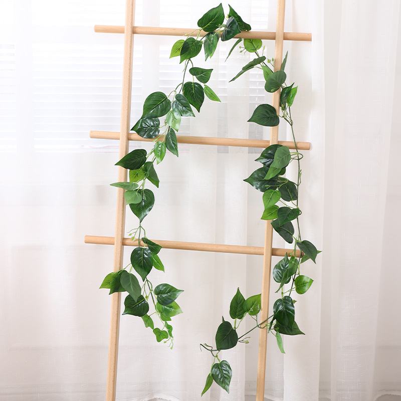 Hojas de potos con forma de alambre