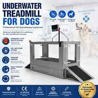 Cinta de Correr Acuática Profesional de Acero Inoxidable para Perros, Certificación CE, Máquina de Rehabilitación Veterinaria para Hidroterapia, Precio de Fábrica