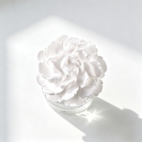 Diffuseur d'huiles essentielles en plâtre parfumé pour la maison, avec bouteille en verre de 100 ml et fleur en céramique, pour parfumer l'air