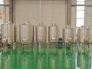 Tanque de Fermentación de Vino de Acero Inoxidable 304/316 con Enfriamiento por Chaqueta, Fermentador Rojo para Vino de Frutas, Equipo para la Elaboración de Vino en <span class=keywords><strong>Bodega</strong></span> - Product Image 2