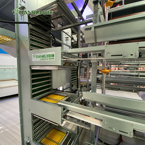 Fournisseurs d'équipements avicoles en Chine, cage à poules automatique de type H pour élevage avicole, obtenir un devis gratuit - Product Image 5