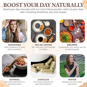 OEM Adult natural Lions Mane Mushroom Powder Whole Fruiting Body & Mycelium Enzyme Source for Focus Memory Immune Health - Product Image 4