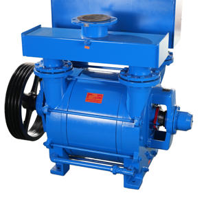 משאבת ואקום אוויר אופקית חשמלית מסדרת 2BE של BOYUAN, דגם 2BEA203, ניתנת להתאמה אישית, יחידת שאיבה עם טבעת מים נקיים בלחץ גבוה, יצרן ציוד מקורי (OEM) - Product Image 5