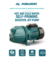 AQUOR 550W Elektrische Haushaltswasserpumpe 30M Max. Förderhöhe 60L/min Kapazität Energieeffiziente Gusseisen-Oberflächen-Booster-Jet-Wasserpumpe