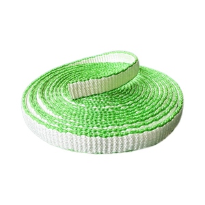 <span class=keywords><strong>Uhmwpe</strong></span> Webbing cao tenacity dyneemas Trọng lượng nhẹ <span class=keywords><strong>uhmwpe</strong></span> Webbing tùy chỉnh dây đeo chống cắt bằng chứng chống mài mòn - Product Image 6