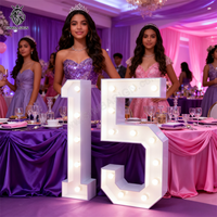Décoration d'anniversaire 15 ans, enseigne néon numérique, lettres lumineuses 3ft 4ft 5ft, XV 15 Ans, décoration pour souvenirs de fêtes de 15 ans