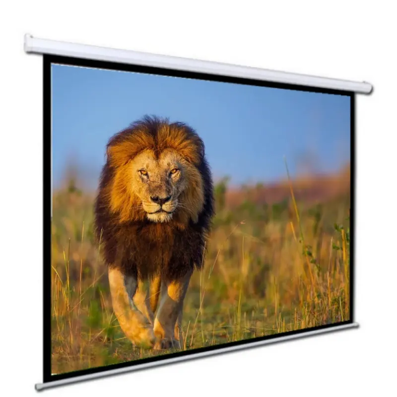 Manufacture Price 180 inch Electric Screen Projector Screen Large Outdoor Motorized Projection Screens