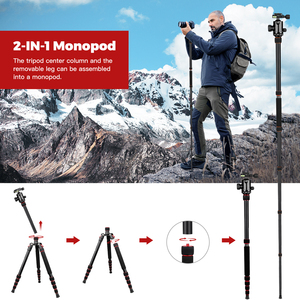 Giá đỡ ba chân máy ảnh với đầu bi 360 ° thích hợp cho ống nhòm Canon Nikon kính viễn vọng - Product Image 5