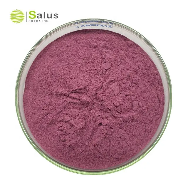 Pure Natural Organic Acai Berry Fruit Powder