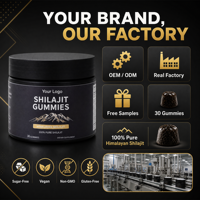 Gummies de Shilajit 30 unités OEM ODM – Formule Énergie, Antioxydant, Vitalité et Soin Immunitaire