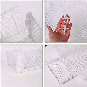 Factory Produce Plastic PP White Avocado Export <strong>Packing</strong> <strong>Crates</strong> for Shipping - Product Image 3