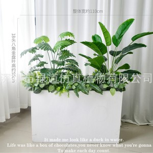 Combinaison de plantes artificielles Greenway, 160 cm de haut, décoration intérieure, verdure tropicale, séparateur, jardinière - Product Image 5