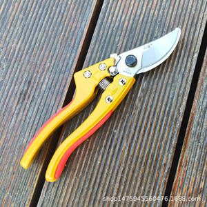 Mountain Wisteria V9 Pruning Shears 8 Inch Stainless Steel Blade For Fruit Trees And <b>Garden</b> Use - Product Image 4