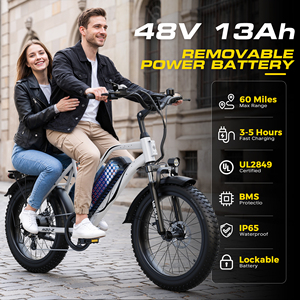 Vélo à pneus larges 20"x4.0, cadre en acier au carbone 750W, accélérateur à poignée 48V13Ah, stock en gros entrepôt USA, expédition 3-7 jours M20-2 20 pouces - Product Image 1