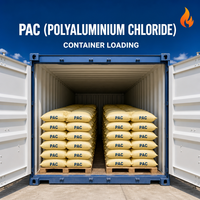 Poudre coagulante de traitement de l'eau au chlorure d'aluminium de base (PAC)