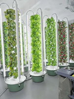 Tours Aéroponiques de Qualité Alimentaire à 5/7/9/11/12 Niveaux, Système de Culture Hydroponique Vertical Automatique pour Serre