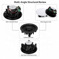 Haut-parleur de plafond 5,25 pouces avec amplificateur intégré, grille magnétique blanche, pour approvisionnement OEM en gros