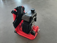 Pompe à eau portative de lutte contre l'incendie de sac à dos de l'équipement 2hp de lutte contre l'incendie de forêt de qualité