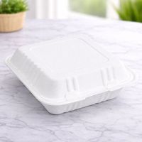 ProTakeOut [6 X 6] Contenants à charnière en bagasse à 1 compartiment, lot de 500 (125/4), sans PFAS, blancs, compostables, avec couvercle compatible micro-ondes, 32 oz