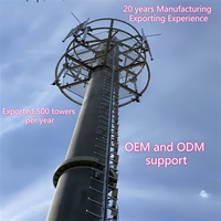 Tour monopôle robuste de 40 m à technologie professionnelle pour l'infrastructure de réseau LTE 5G