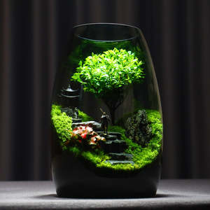 Tall Terrarium <strong>Container</strong> That Create Your Own Miniature Ecosystem Terrarium Glass <strong>Containers</strong> - Product Image 6