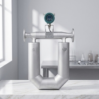 Medidor de Flujo Másico Coriolis Digital LCD de Alta Precisión en Forma de U para Diésel, Aceite Lubricante, Solventes Químicos, Petróleo, Acero Inoxidable